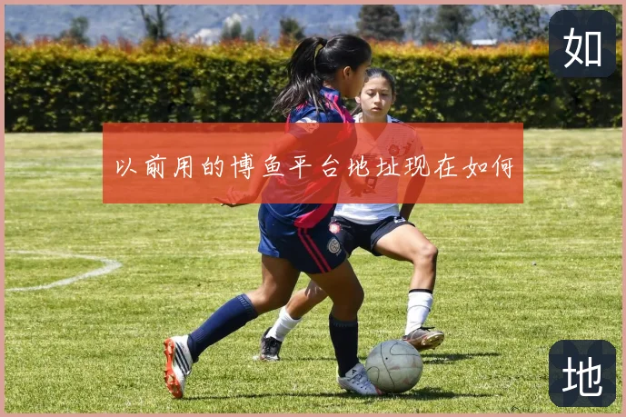 以前用的博鱼平台地址现在如何